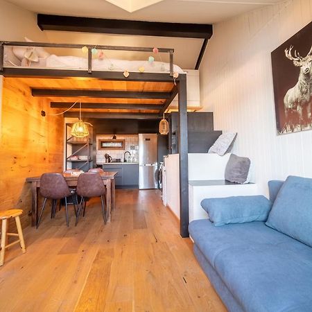 Le Cerf - Duplex Avec Superbe Vue Montagne Apartment Les Angles  Luaran gambar